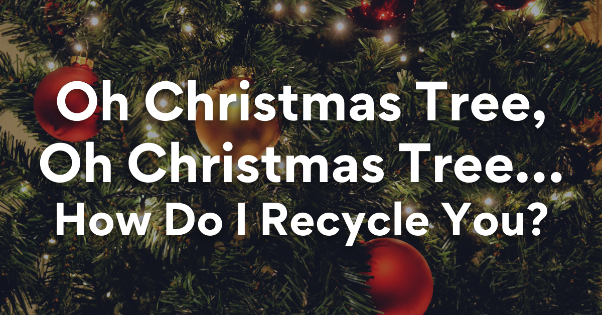 Oh Christmas Tree, Oh Christmas Tree… How Do I Recycle You?
